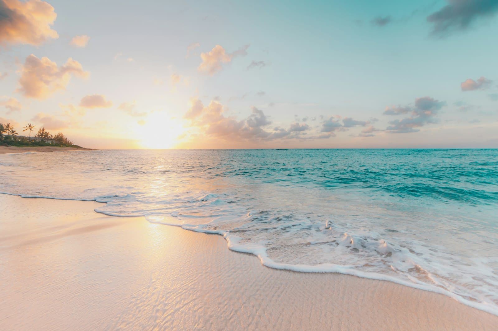 Playa de arena blanca con palmeras en Punta Cana